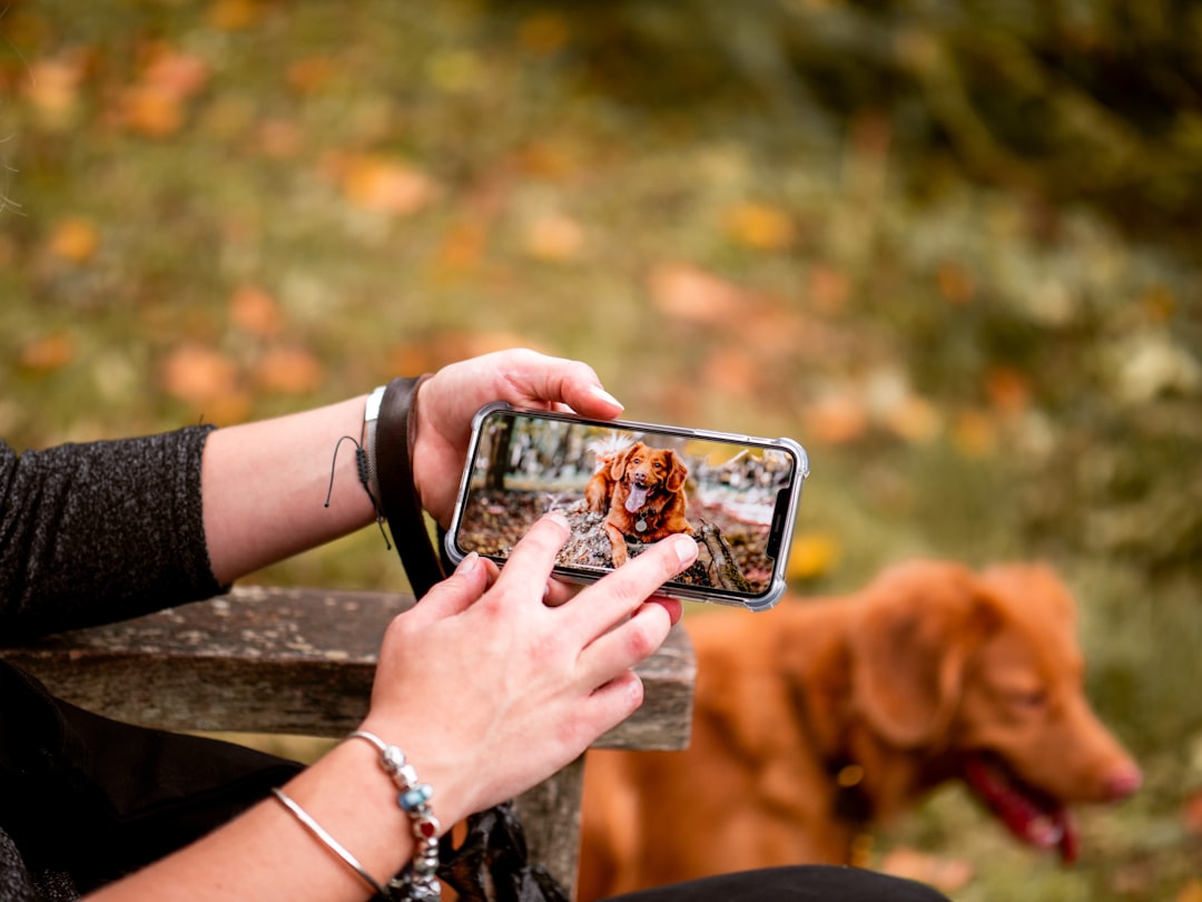 Content photography for social media and brands